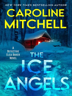 cover image of The Ice Angels